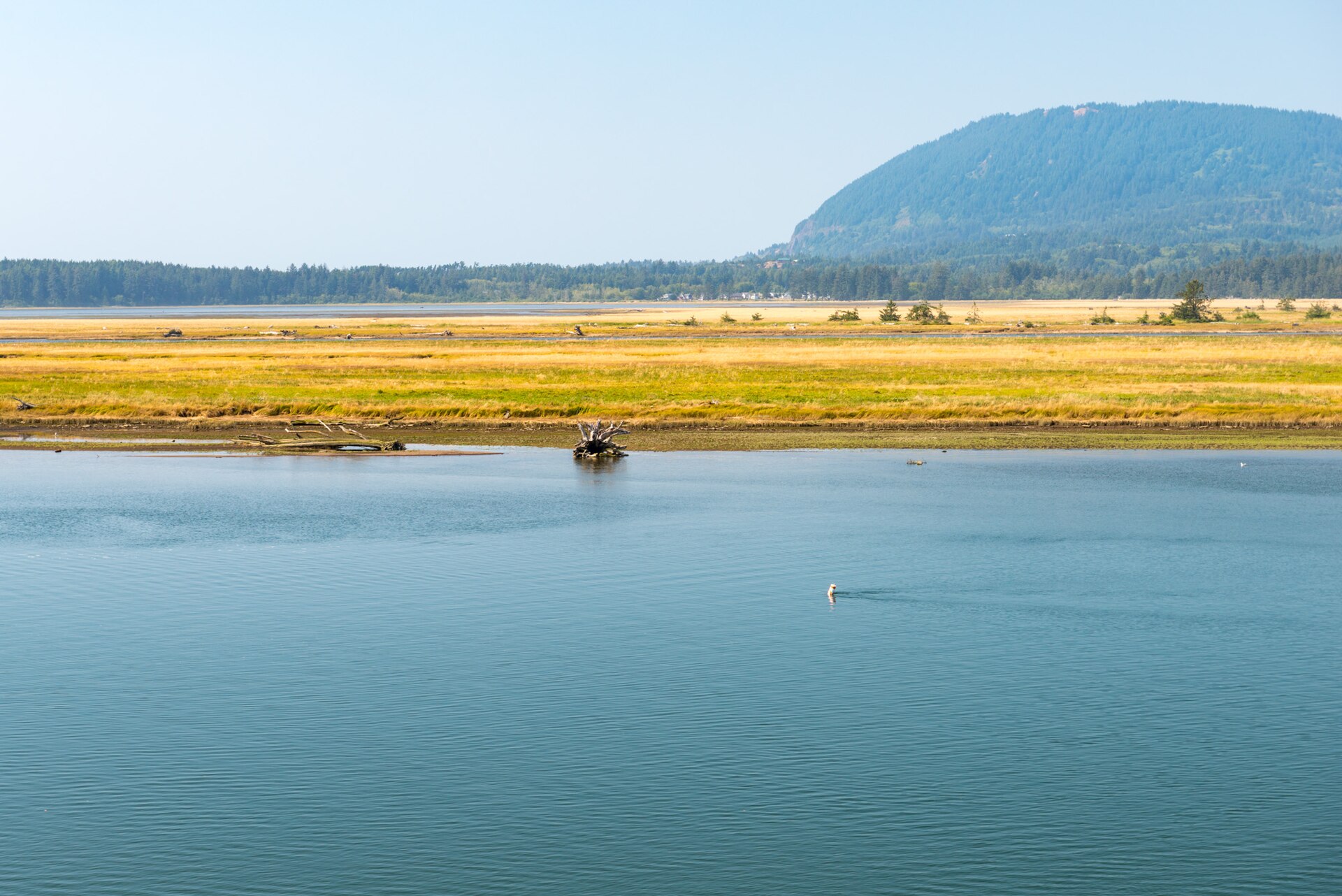 Nehalem Bay State Park