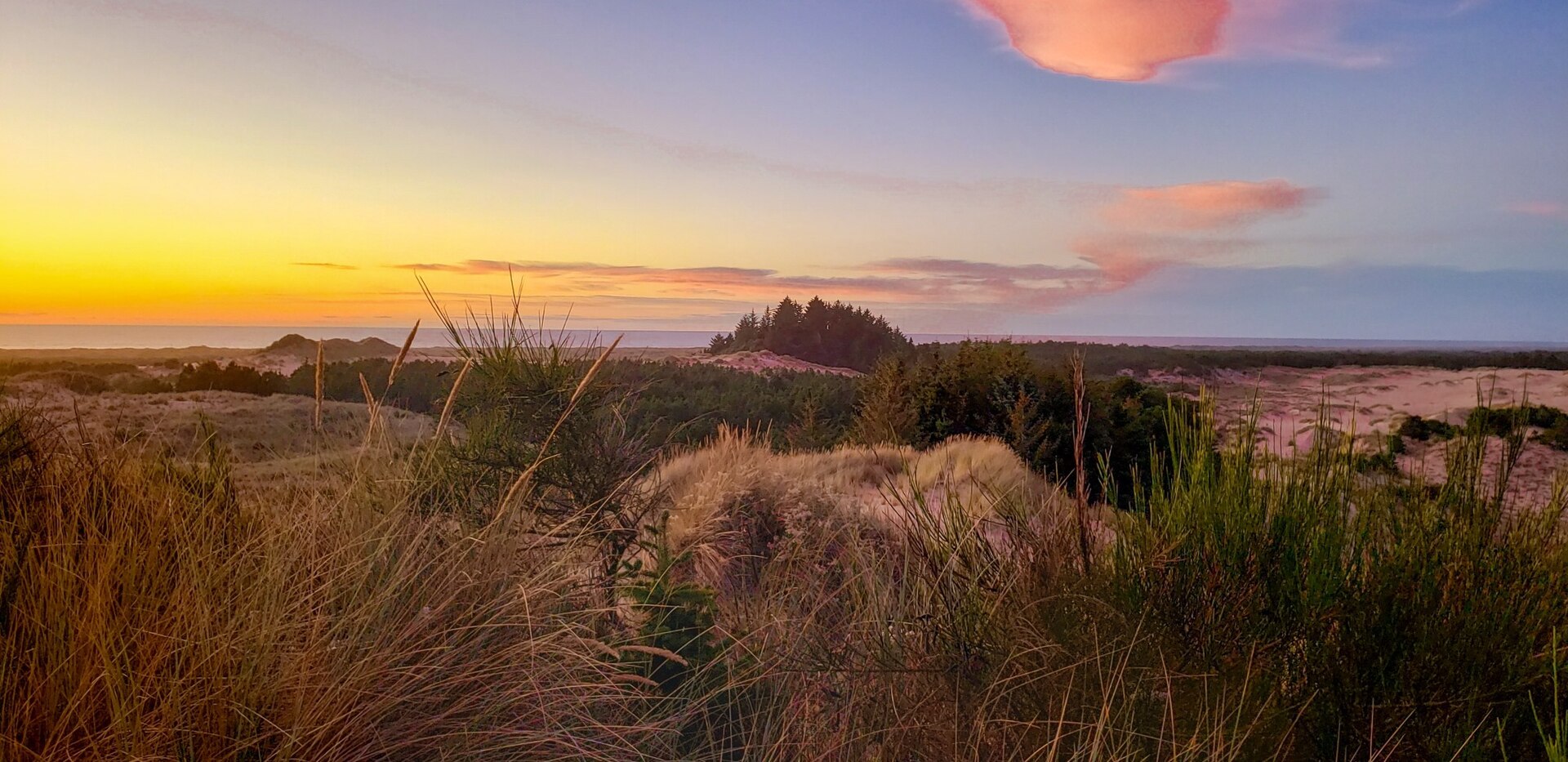 A Year on the North Coast: When to Come to Manzanita