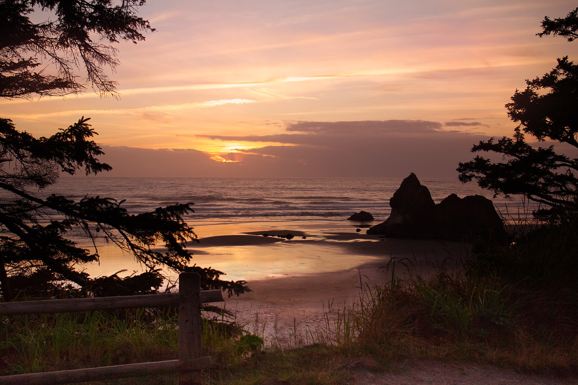 Oswald West & Short Sand Beach