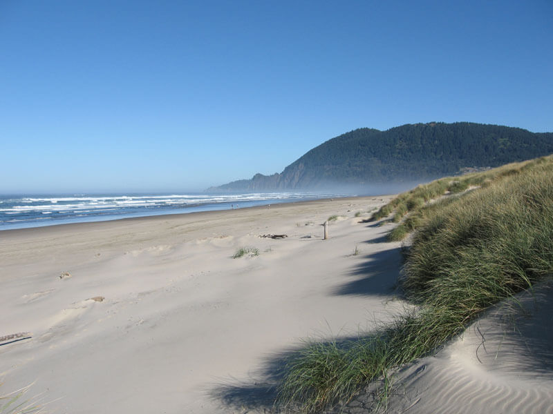 The Village of Manzanita