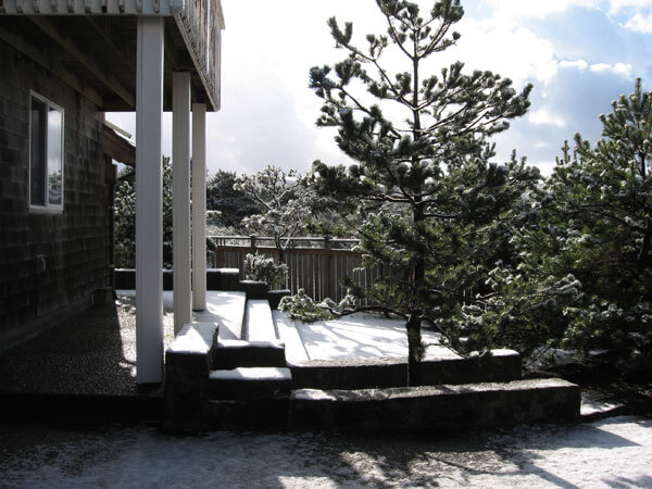 First snow in the garden