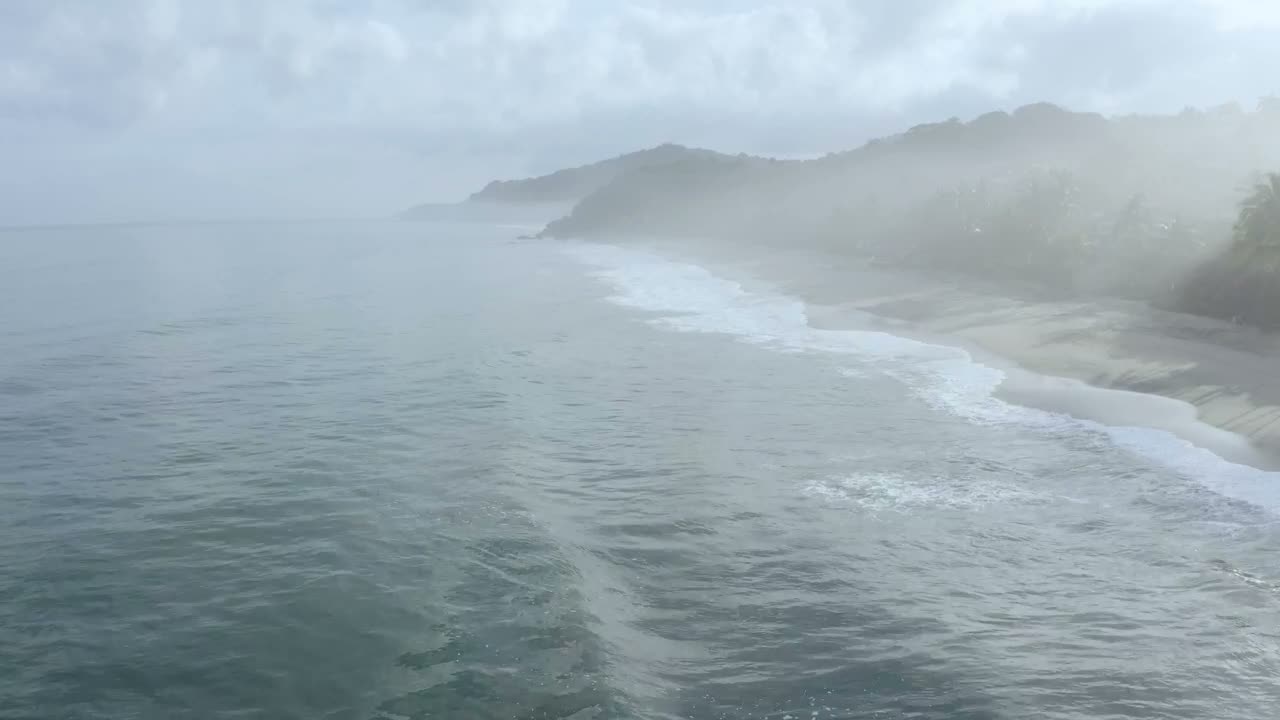 Misty surf rolling onto Manzanita Beach below the forested headland